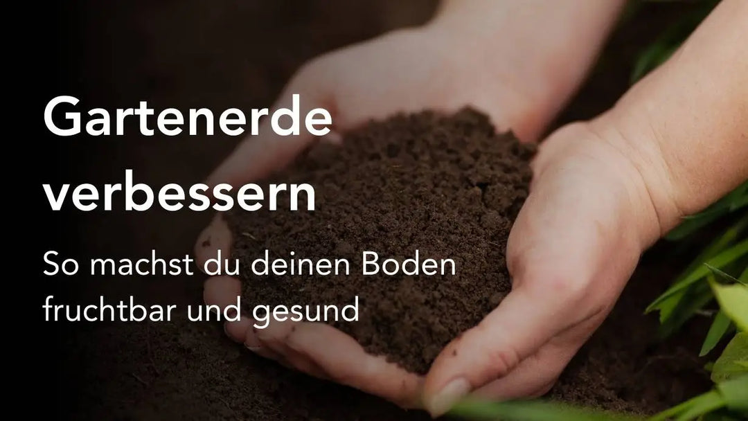 Gartenerde verbessern Titelbild