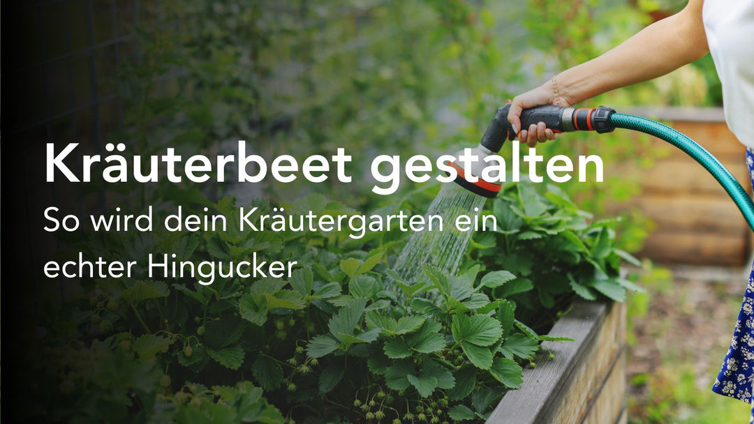 Kräuterbeet kreativ gestalten – So wird dein Kräutergarten ein echter Hingucker